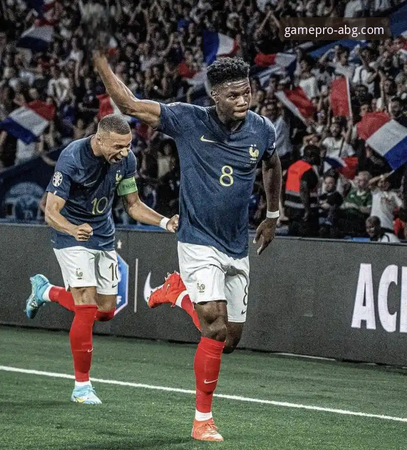 欧博abg官网手机版 战术拼图与残酷现实:帕尼切利伤退 vs 在欧博abg官网手机版追踪阿根廷队后续动态